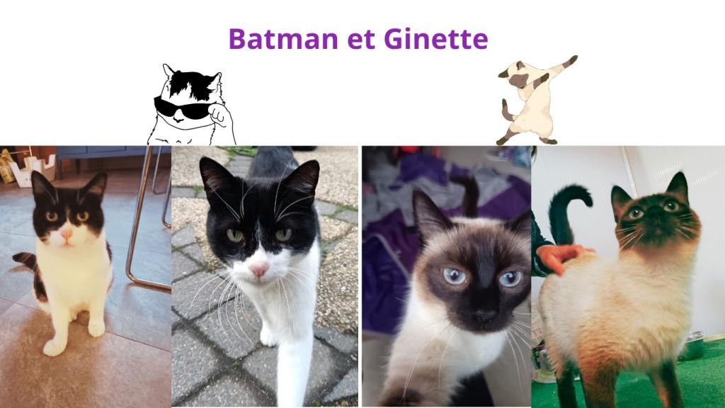 Promenades canines personnalisées et visites à domicile Promenades canines personnalisées et visites à domicile