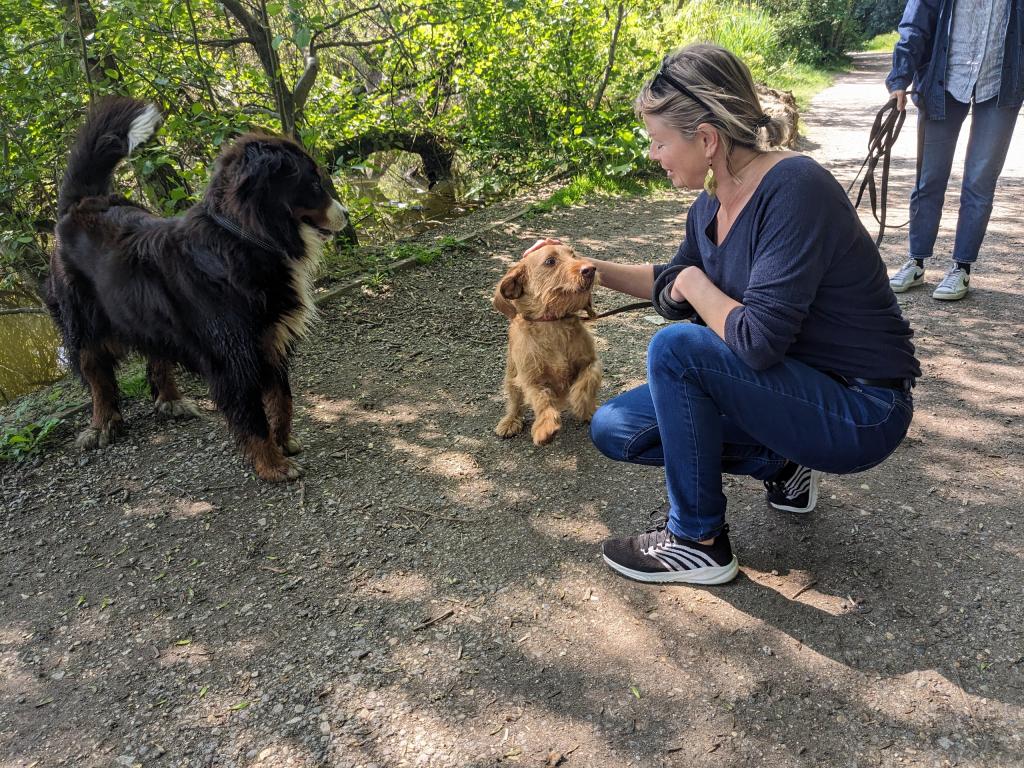Promenades canines personnalisées et visites à domicile Promenades canines personnalisées et visites à domicile