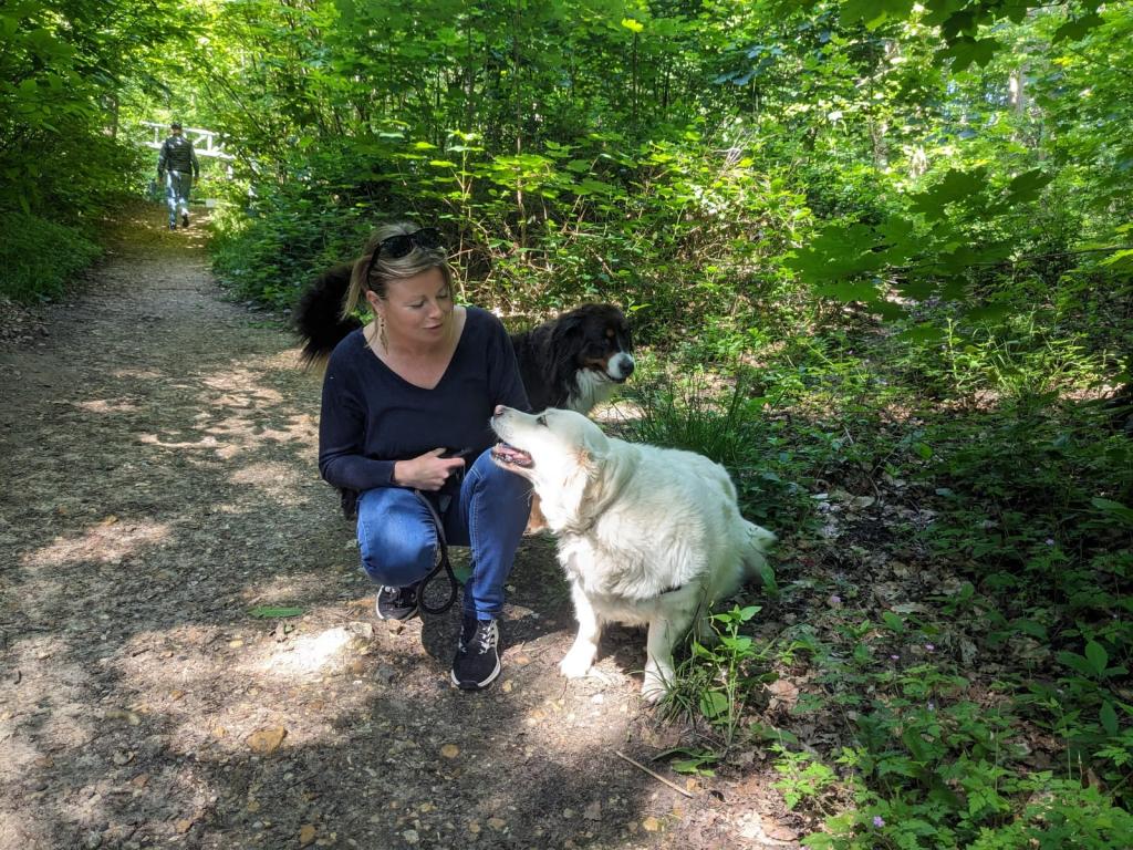 Promenades canines personnalisées et visites à domicile Promenades canines personnalisées et visites à domicile