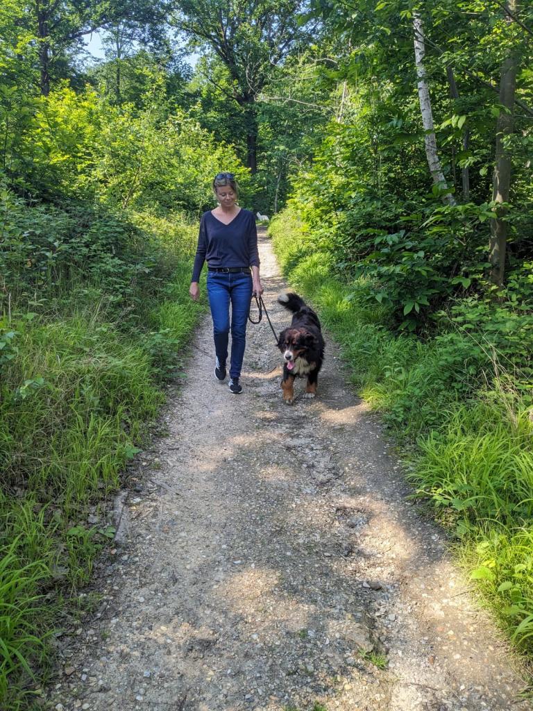 Promenades canines personnalisées et visites à domicile Promenades canines personnalisées et visites à domicile